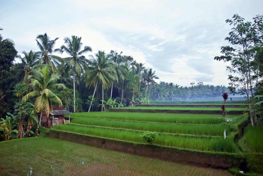 Junjungan Ubud Hotel And Spa Esterno foto