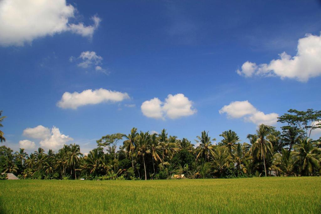 Junjungan Ubud Hotel And Spa Esterno foto