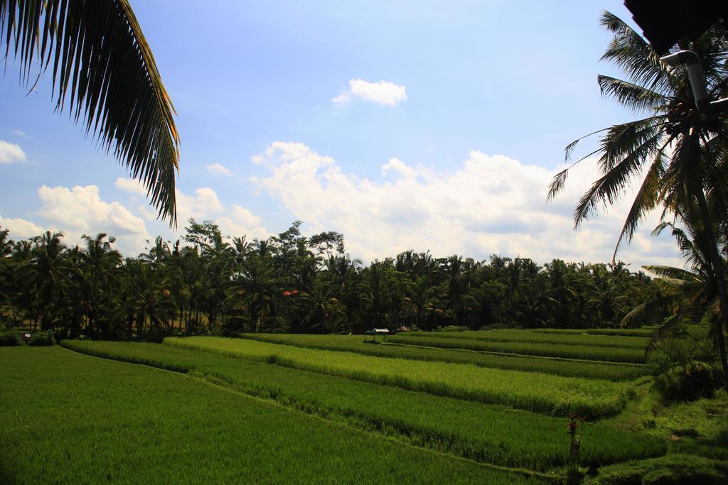 Junjungan Ubud Hotel And Spa Esterno foto