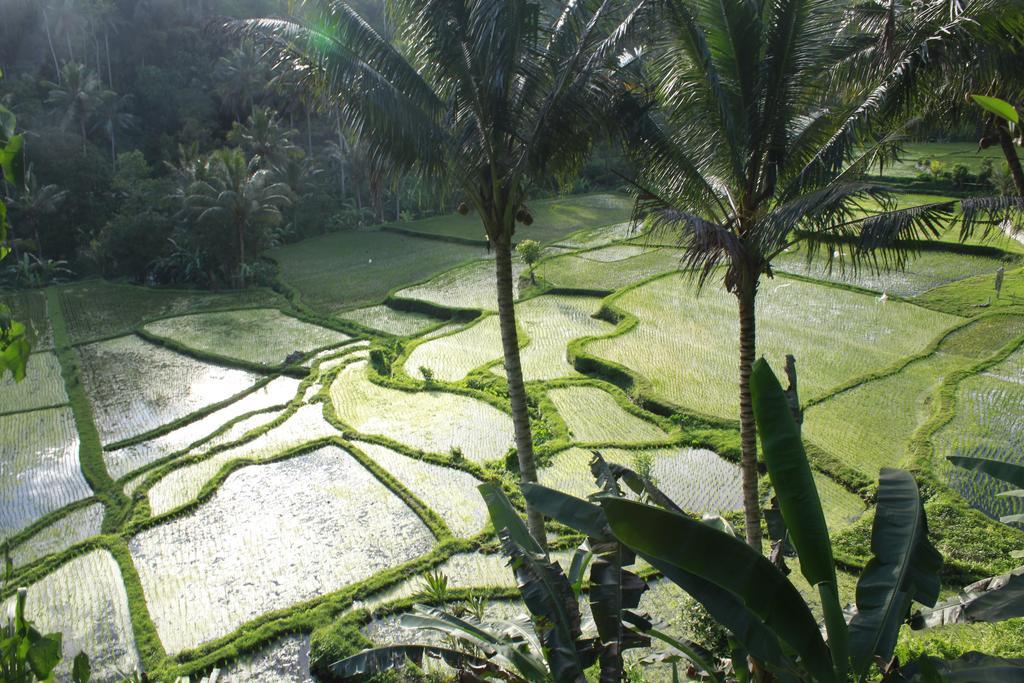 Junjungan Ubud Hotel And Spa Esterno foto