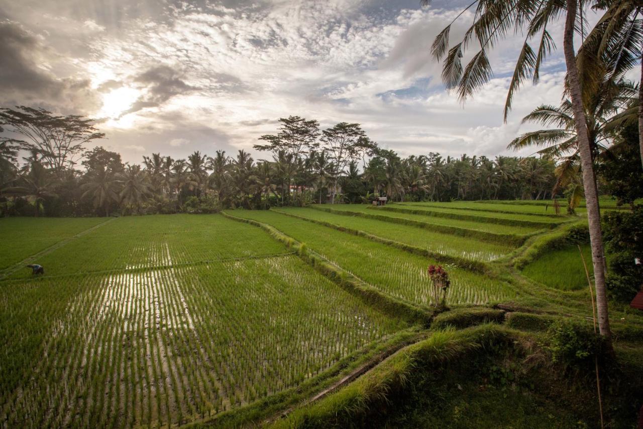 Junjungan Ubud Hotel And Spa Esterno foto